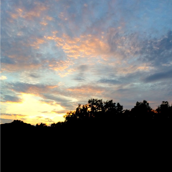 Meet your Posher, Emily - Picture 1 of 2